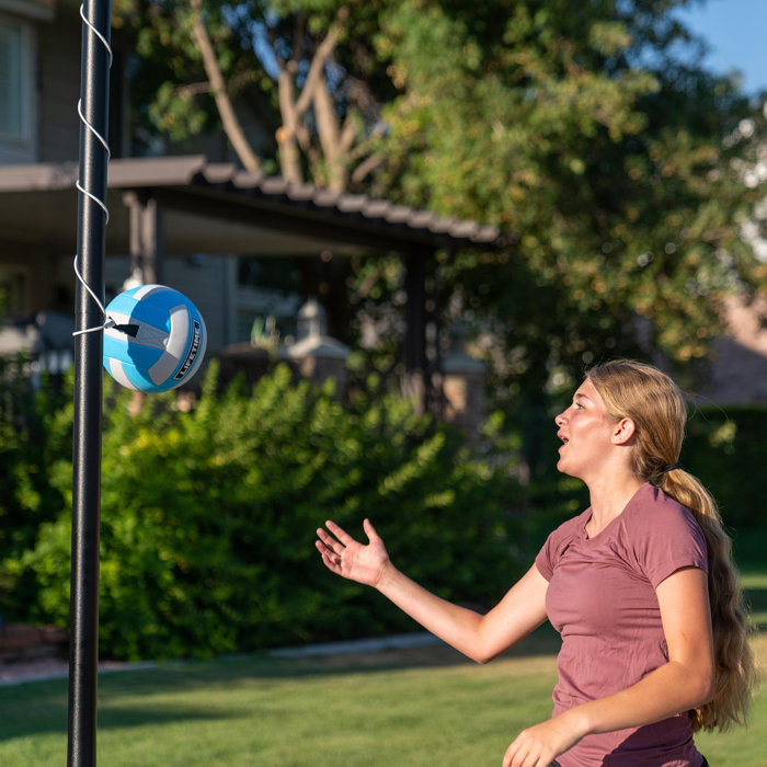 Lifetime Tetherball & Reviews Wayfair